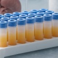 biobank